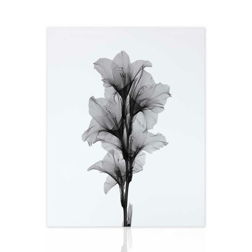 Quadro floreale bianco nero - floreale,