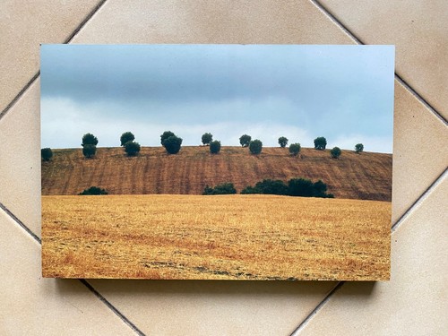 Quadro foto mdf - foto, nero