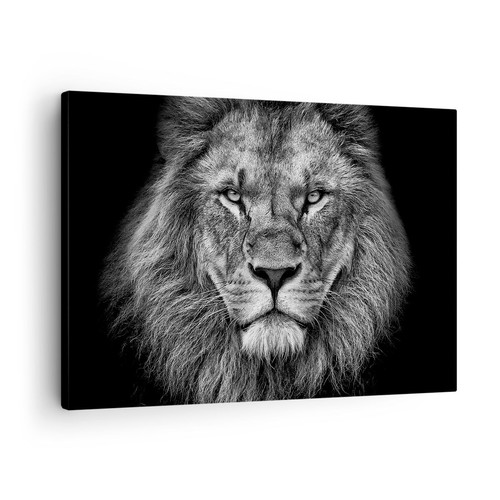 Quadro tela 70x50cm - quadro,