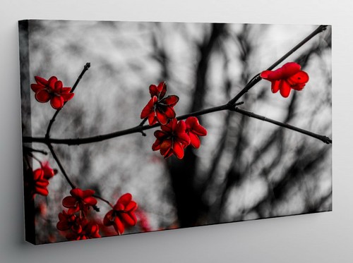 Quadro moderno stampa - quadro,