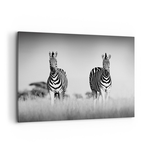 Quadro tela 120x80cm - quadro,