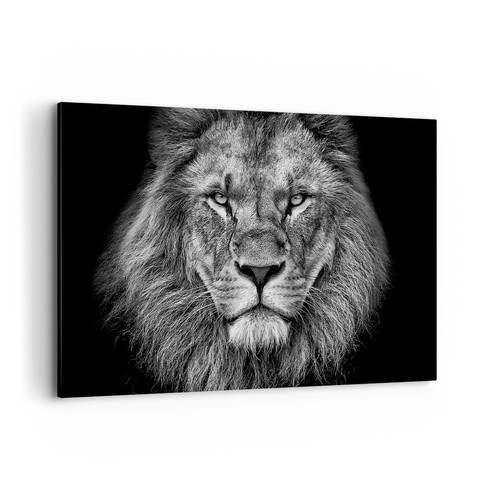 Quadro tela 120x80cm - su,